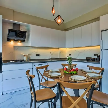 4 Bedroom 2855 别墅 费特希耶